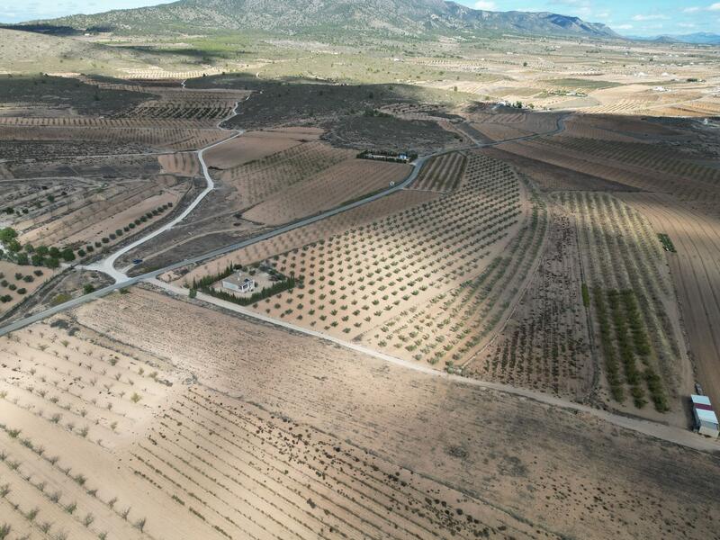 Land for sale Land for sale