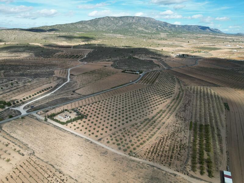 Land for sale Land for sale