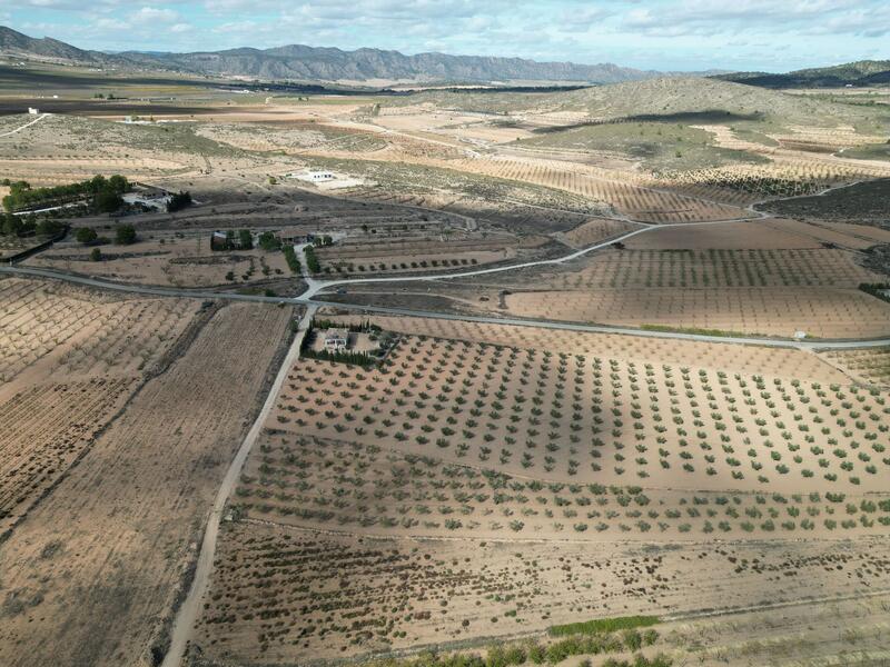 Land for sale Land for sale