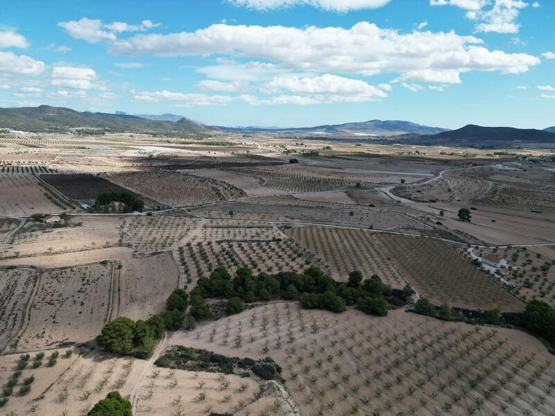 Land til salgs i Pinoso, Alicante