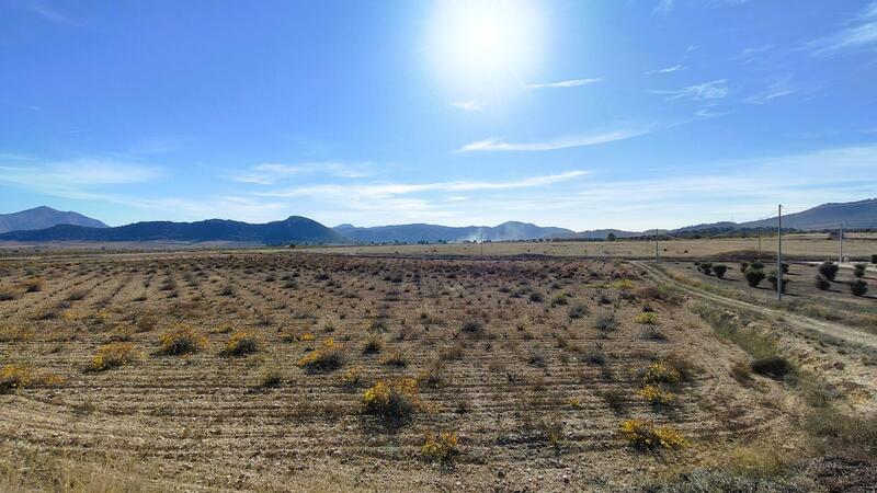 Land for sale