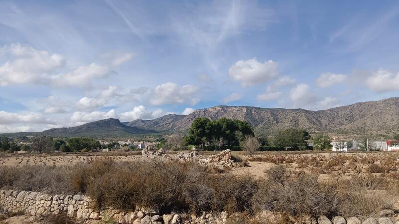 земля продается