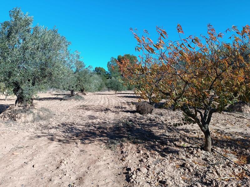 2 Schlafzimmer Landhaus zu verkaufen 2 Schlafzimmer Landhaus zu verkaufen