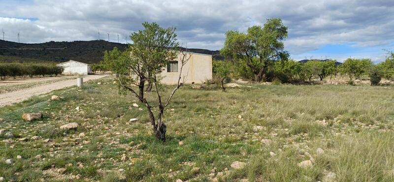 3 bedroom Country House for sale 3 bedroom Country House for sale