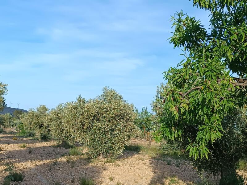 2 bedroom Country House for sale 2 bedroom Country House for sale