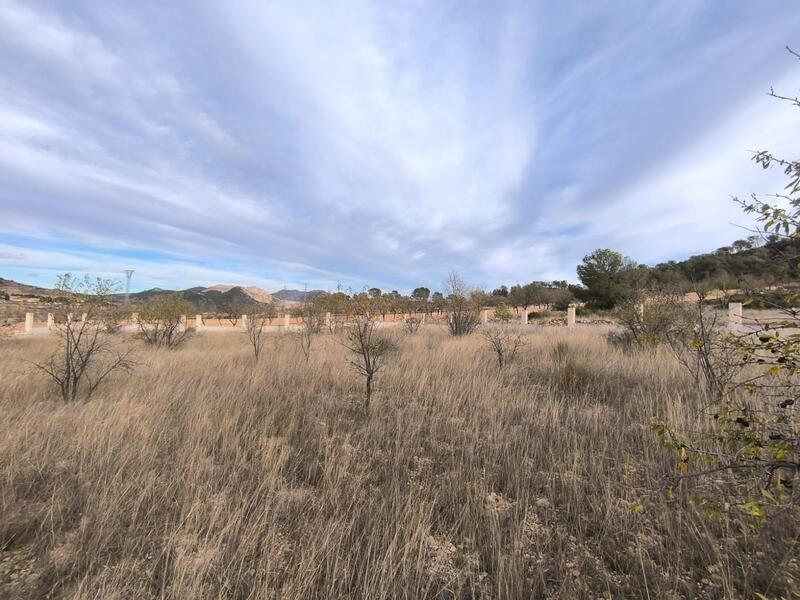 Land for sale Land for sale