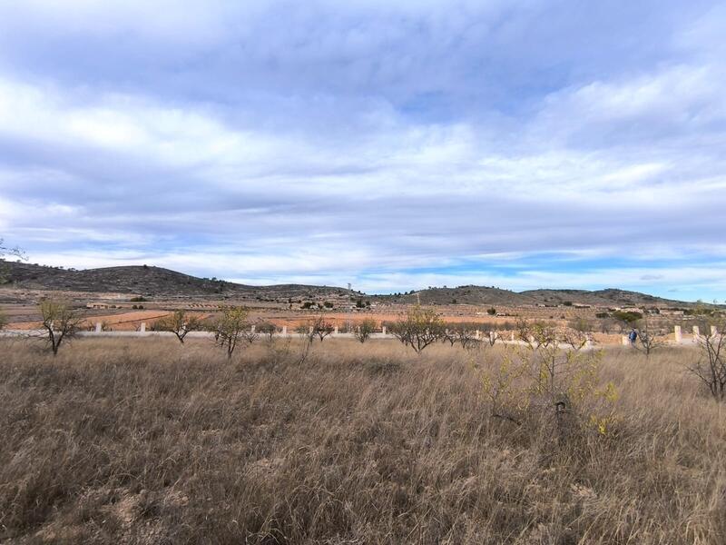 Land for sale Land for sale