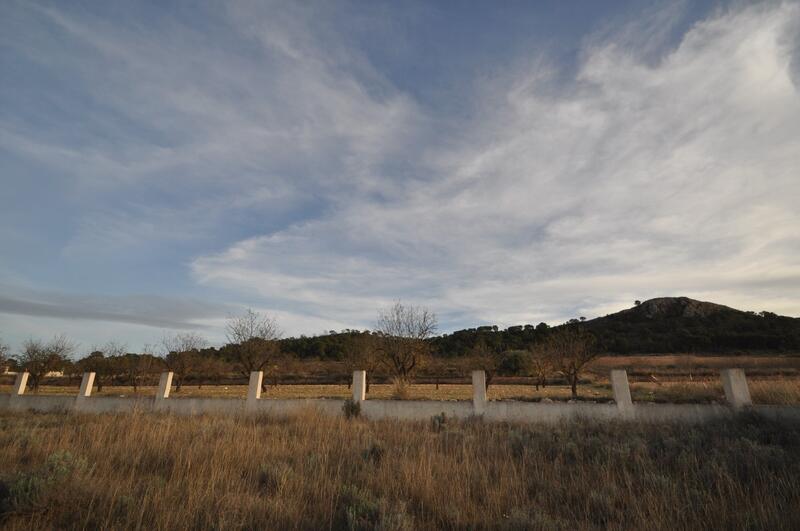 Land for sale Land for sale