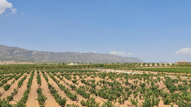 3 bedroom Villa for sale 3 bedroom Villa for sale