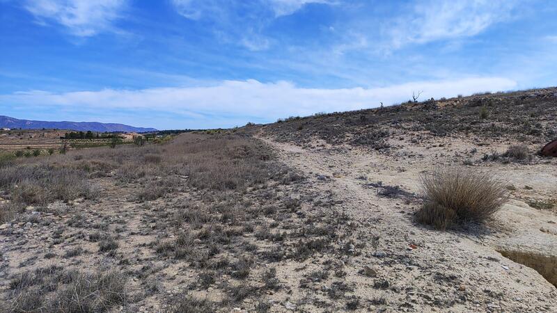 Land for sale Land for sale