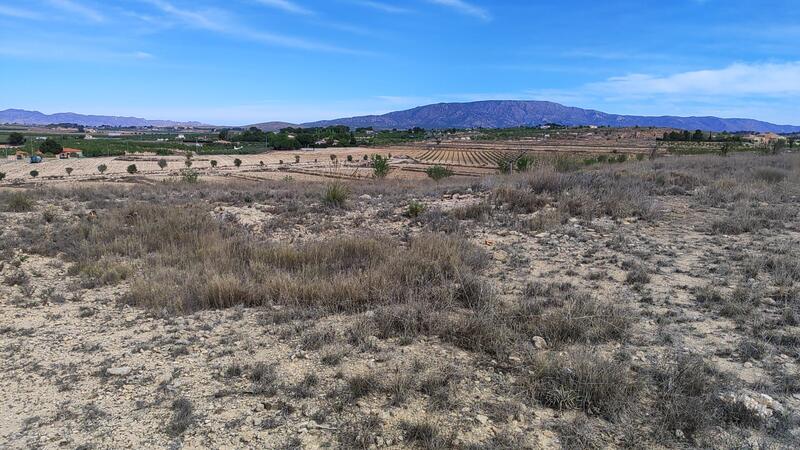 Land for sale Land for sale