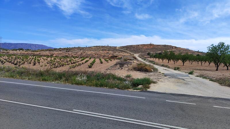 Land for sale Land for sale