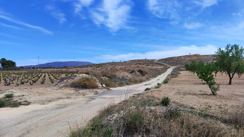 Land for sale Land for sale