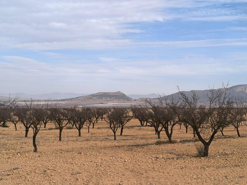 3 soverom Villa til salgs 3 soverom Villa til salgs