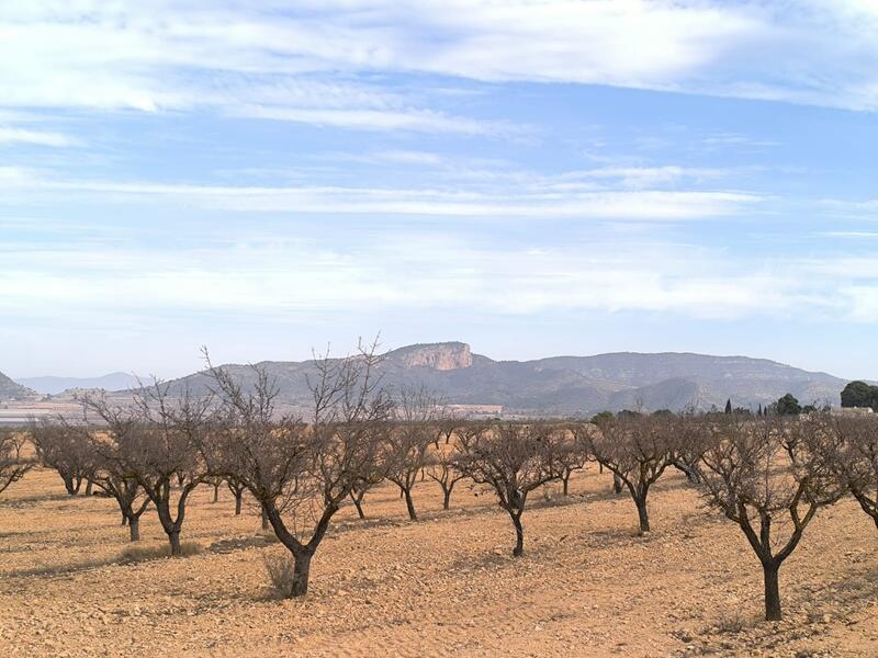 3 soverom Villa til salgs 3 soverom Villa til salgs