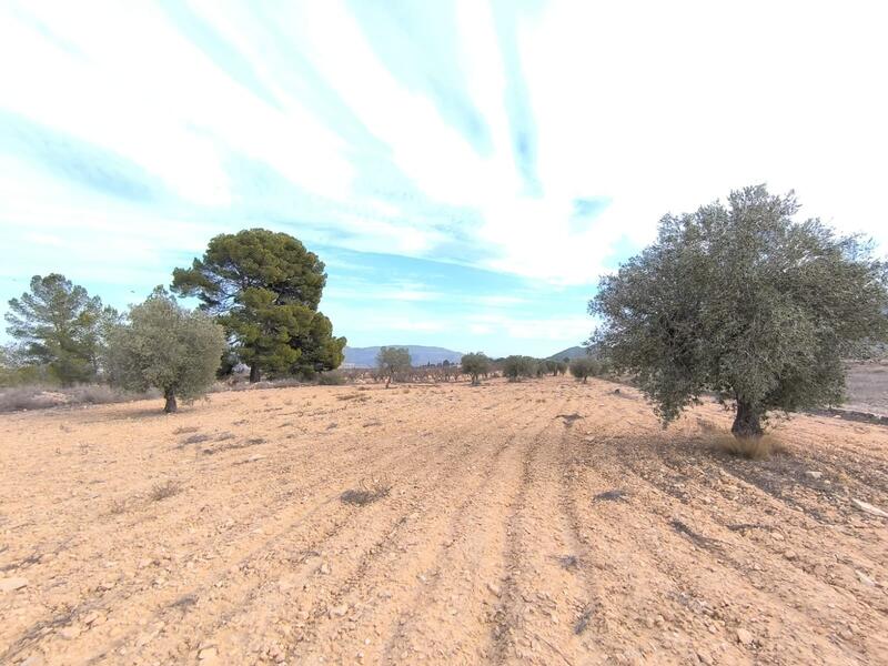 3 soverom Villa til salgs 3 soverom Villa til salgs