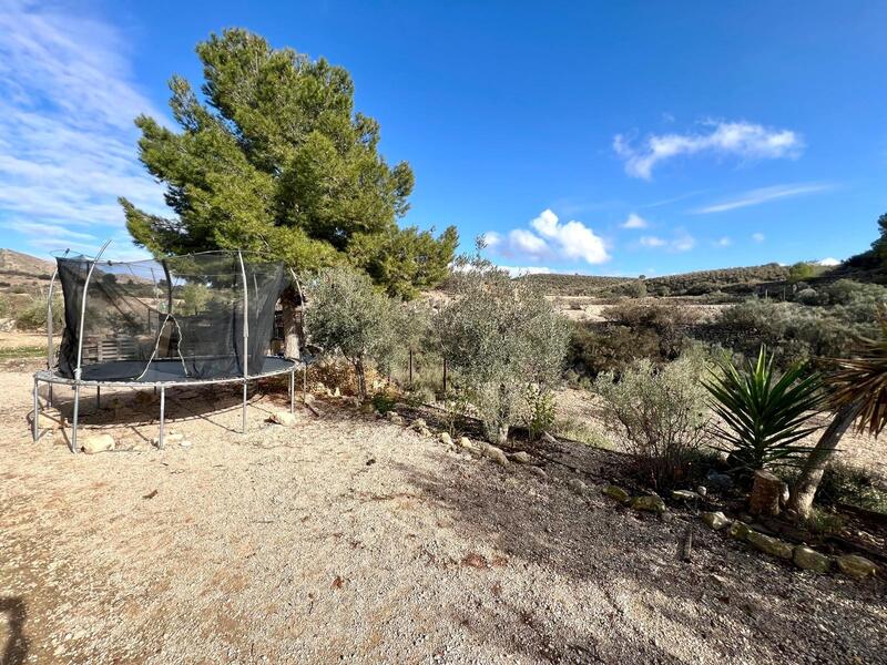 3 chambre Auberge à vendre