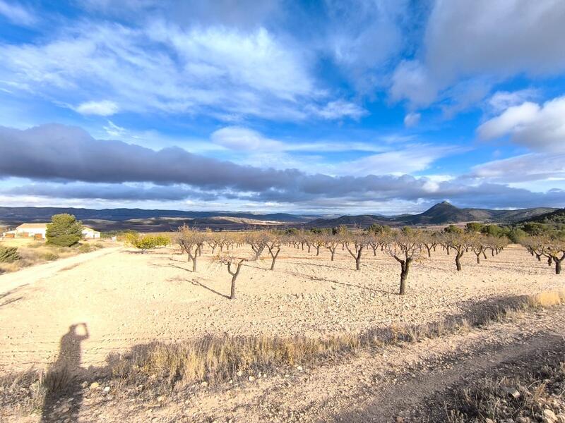 5 bedroom Country House for sale