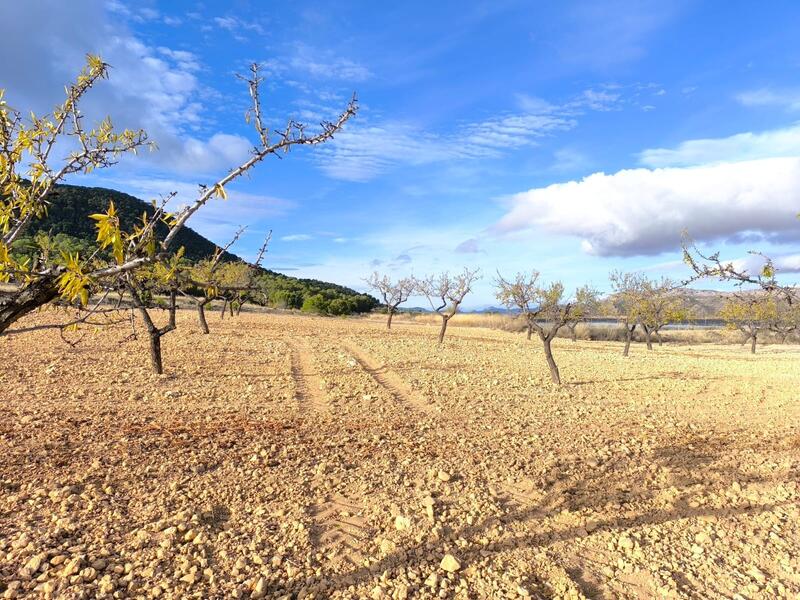 5 bedroom Country House for sale