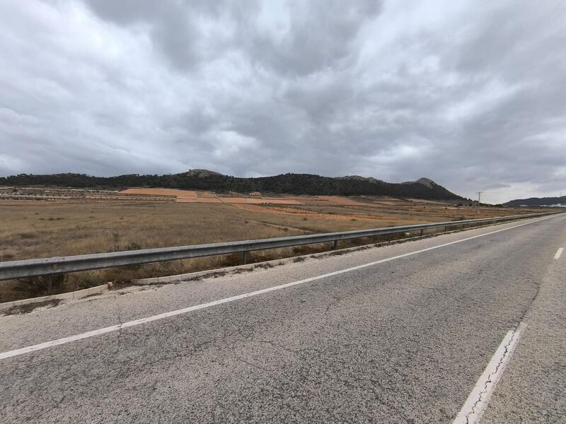 Land for sale in La Solana, Alicante