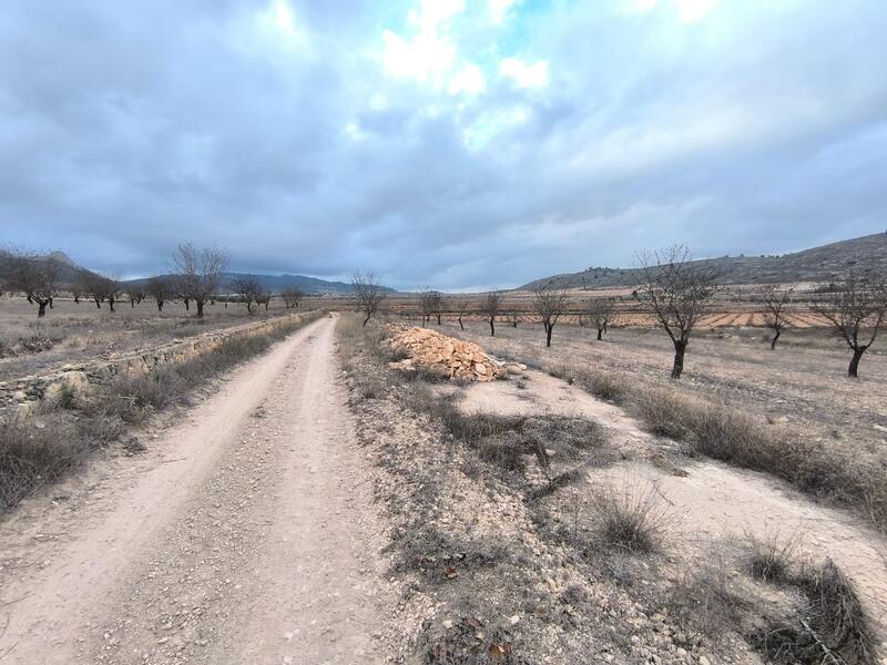 Land for sale in La Solana, Alicante