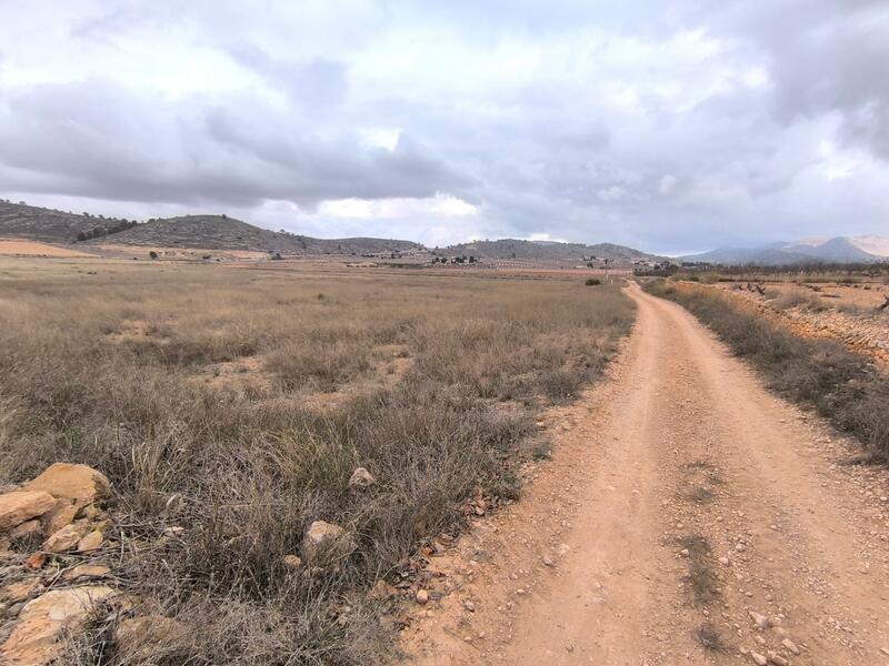 Jord til salg i La Solana, Alicante