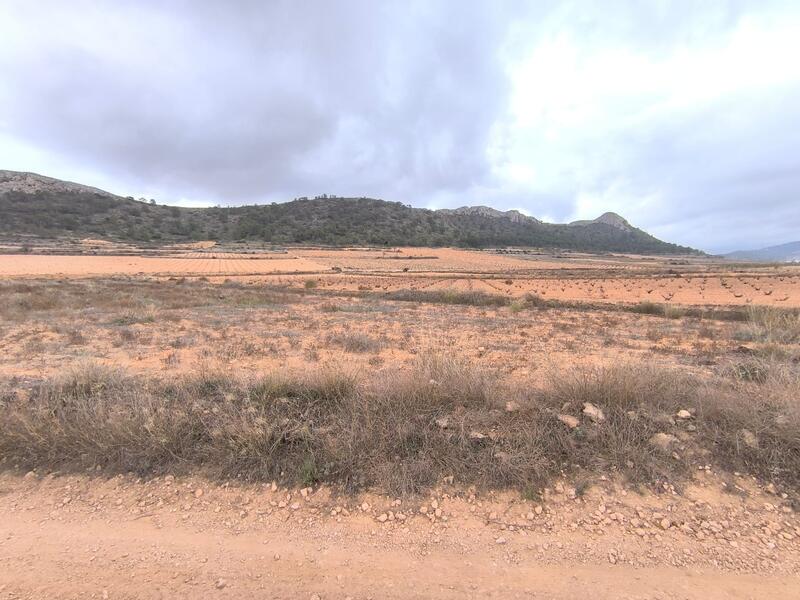 Land for sale in La Solana, Alicante