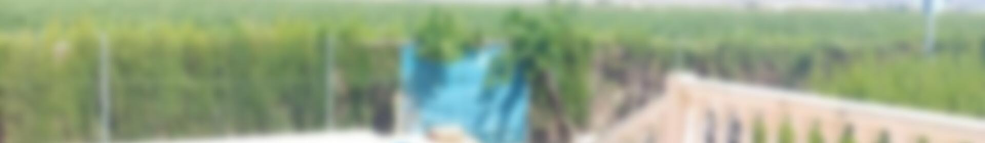 5 Cuarto Casa de Campo en venta