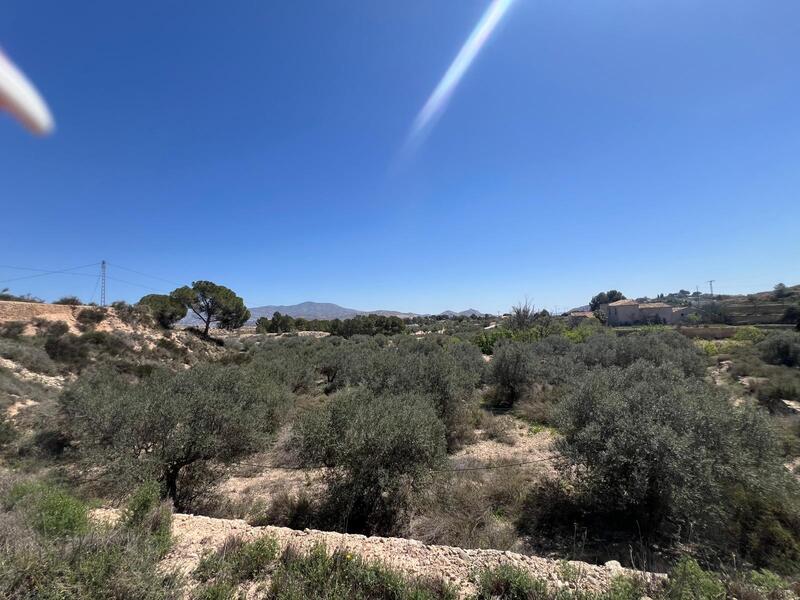 Terrenos en venta en Monóvar, Alicante