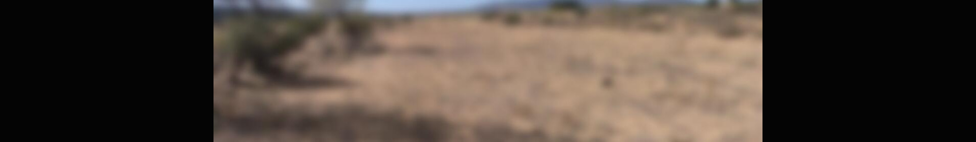 Grundstück zu verkaufen