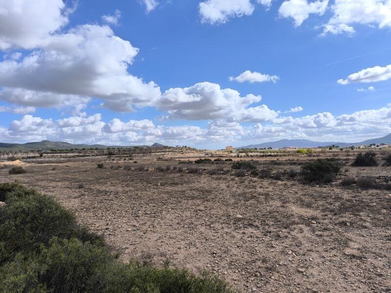 Grundstück zu verkaufen Grundstück zu verkaufen