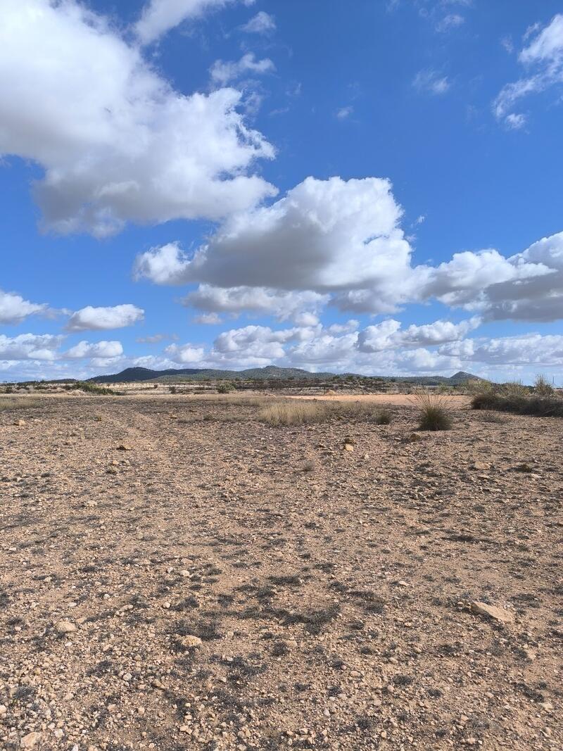 Grundstück zu verkaufen Grundstück zu verkaufen