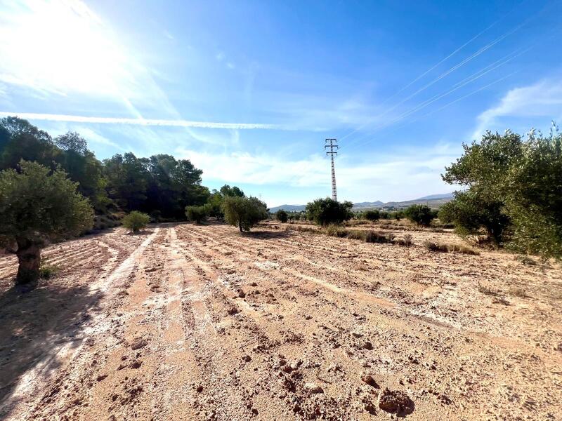 Casa de Campo en venta