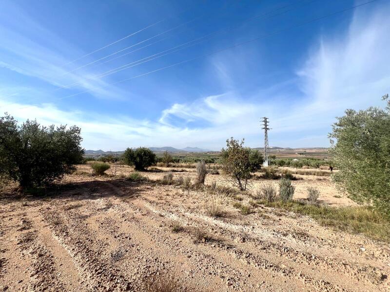 Casa de Campo en venta