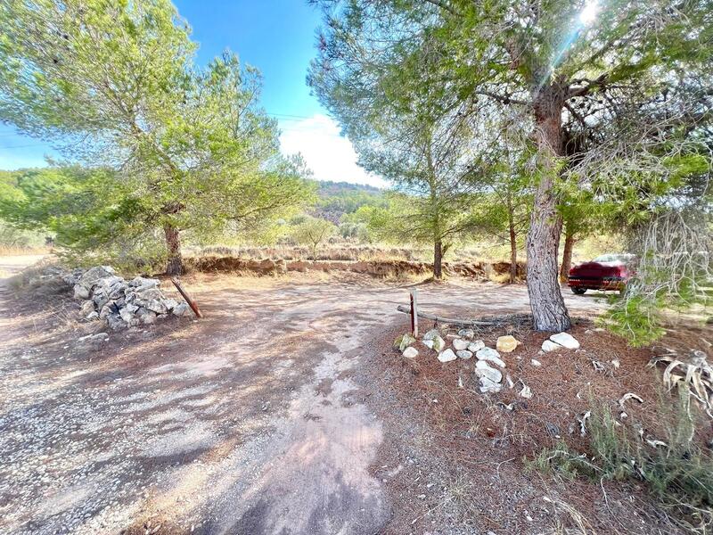 Casa de Campo en venta