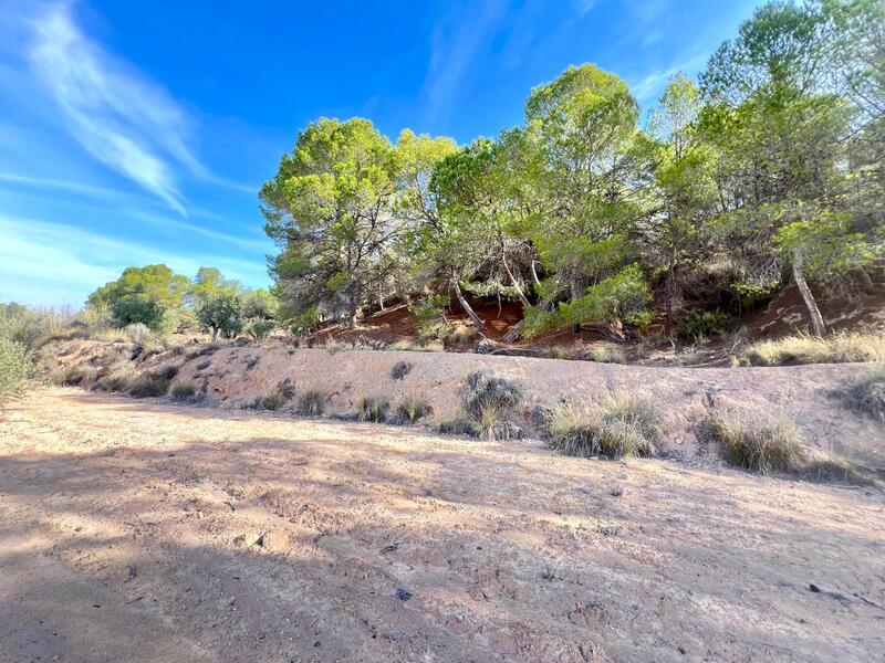 Casa de Campo en venta