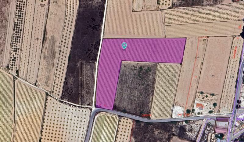 Land Te koop in Pinoso, Alicante