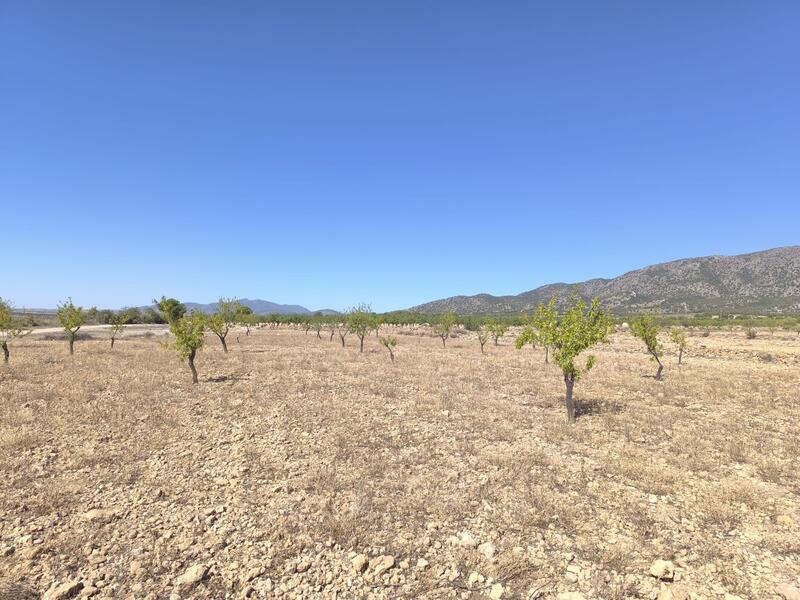 земля продается земля продается