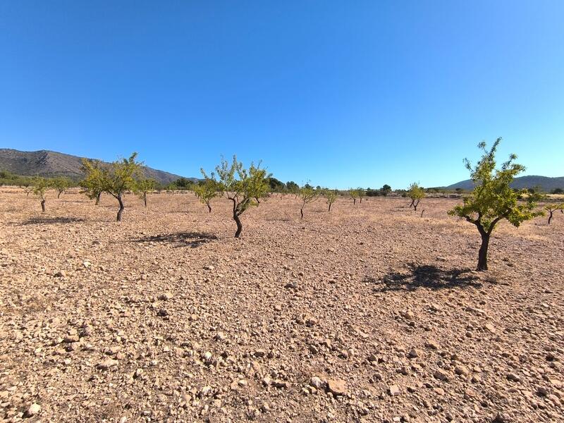 земля продается земля продается