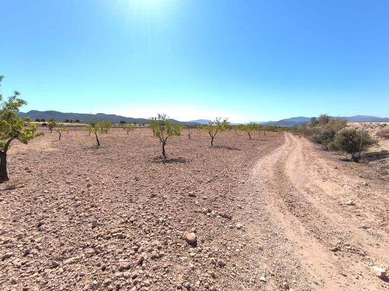 земля продается земля продается