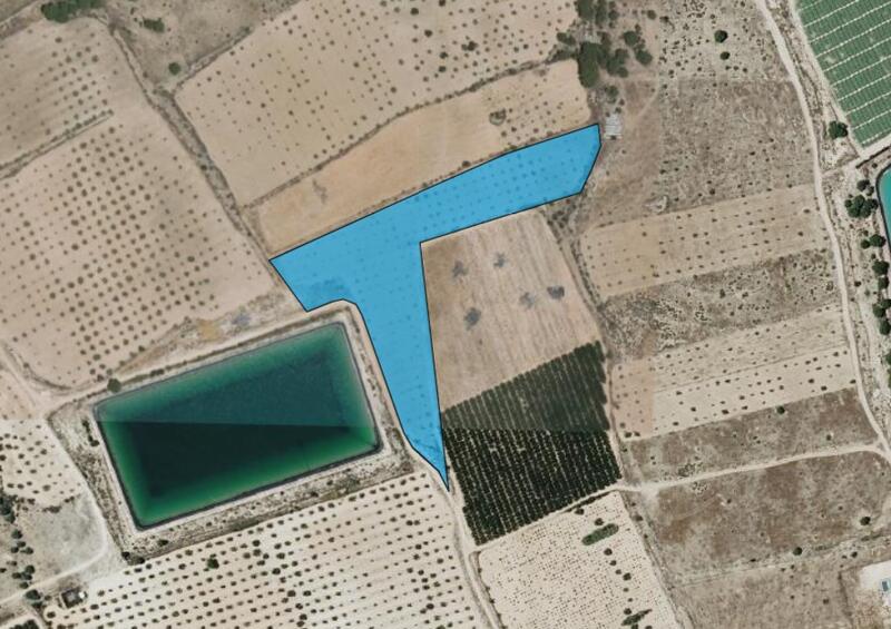 земля продается земля продается