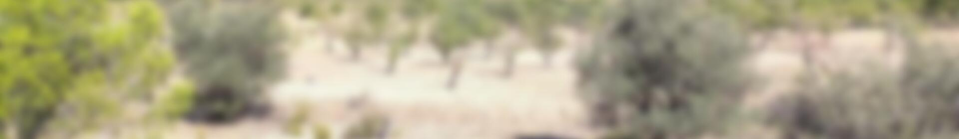 земля продается