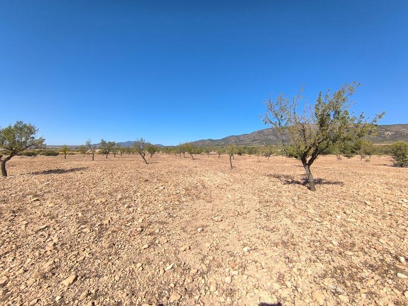 земля продается земля продается