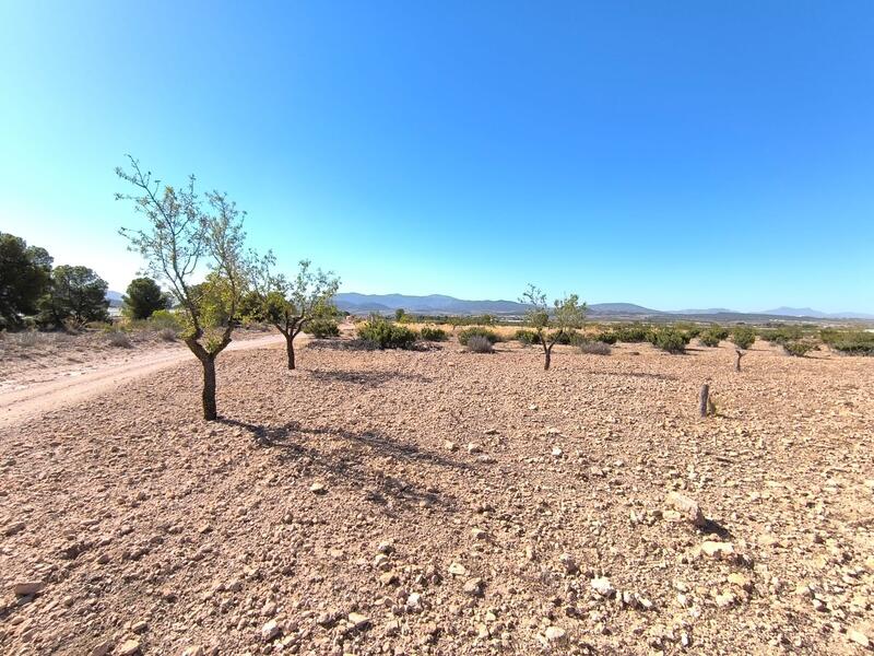 земля продается земля продается