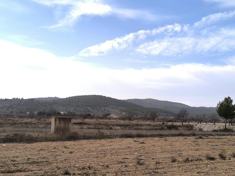 3 спальная комната вилла продается