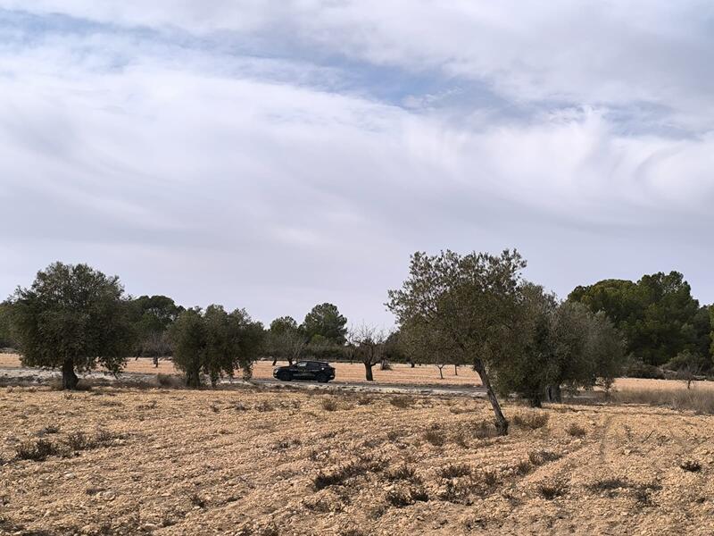 3 спальная комната вилла продается