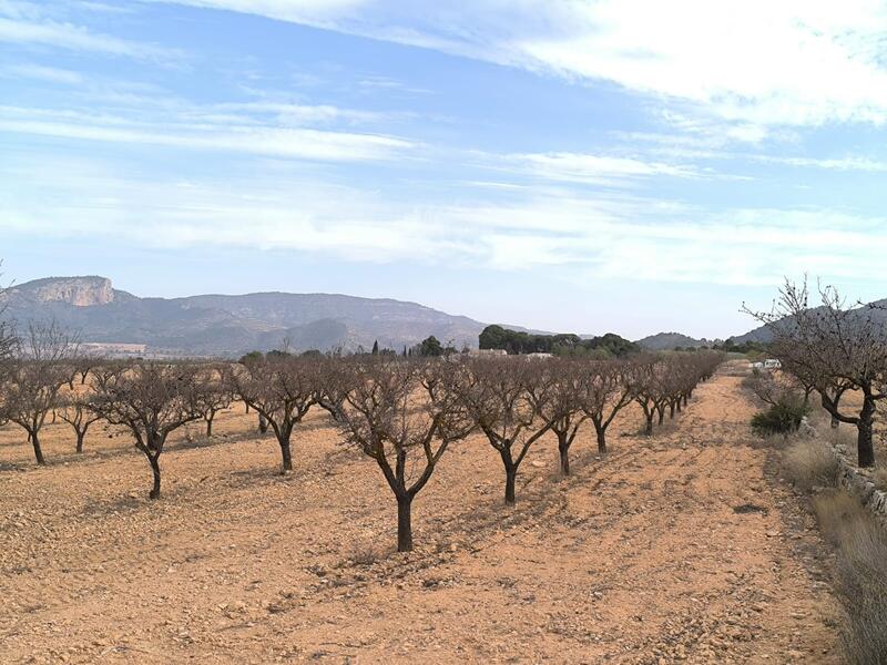 3 спальная комната вилла продается