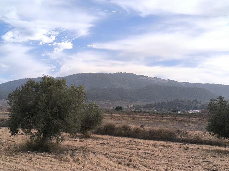 3 спальная комната вилла продается