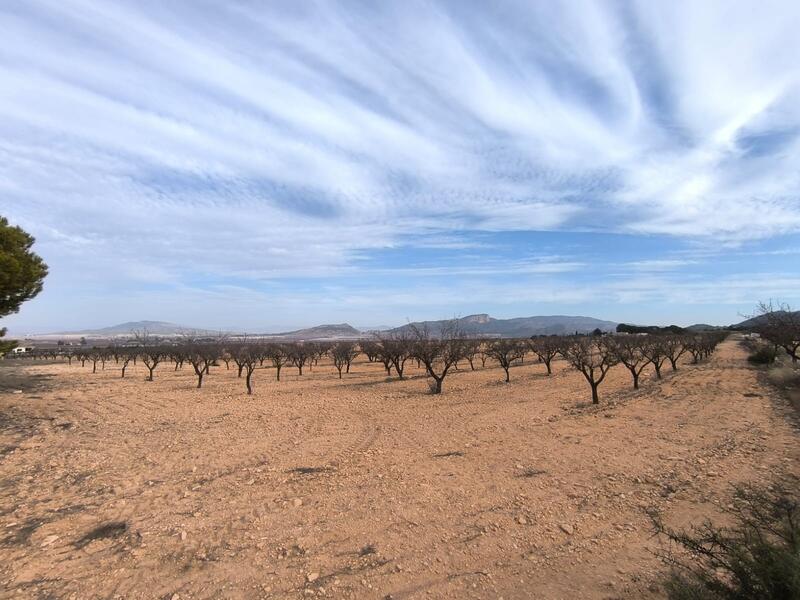 3 спальная комната вилла продается