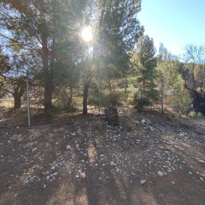 6 Cuarto Casa de Campo en venta 6 Cuarto Casa de Campo en venta